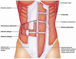 Core Diagram